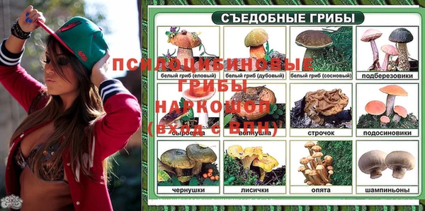 дживик Гусь-Хрустальный