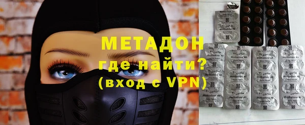 прущие грибы Гусиноозёрск