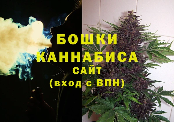 ALPHA-PVP Гусев