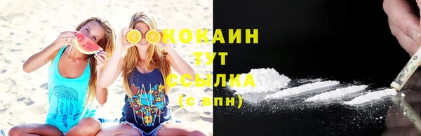 прущие грибы Гусиноозёрск