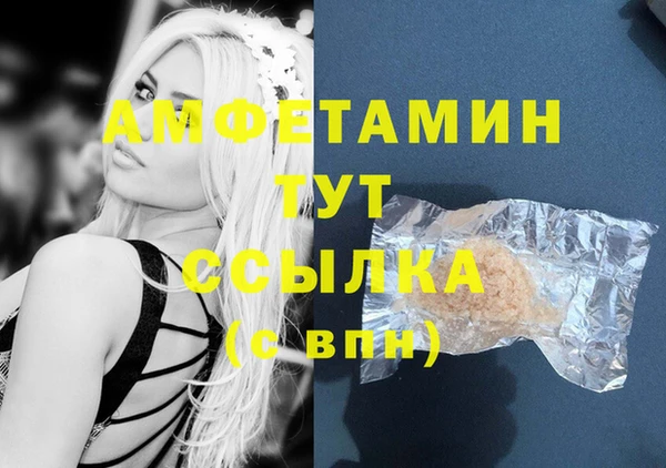 дживик Гусь-Хрустальный