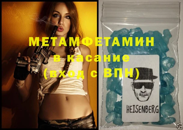 прущие грибы Гусиноозёрск