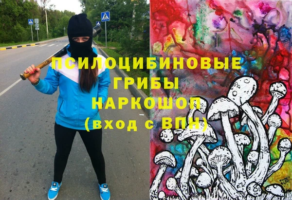 дживик Гусь-Хрустальный