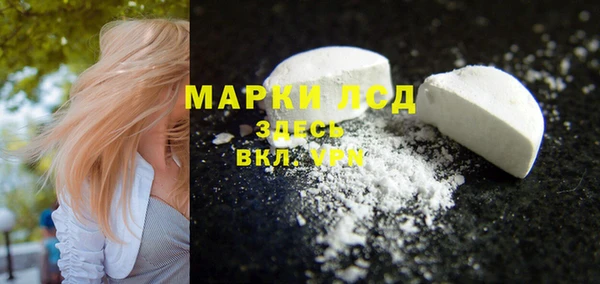 прущие грибы Гусиноозёрск