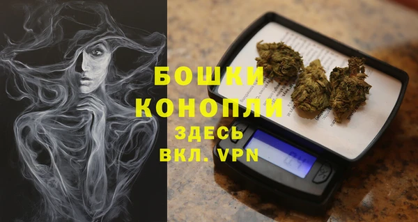 ALPHA-PVP Гусев