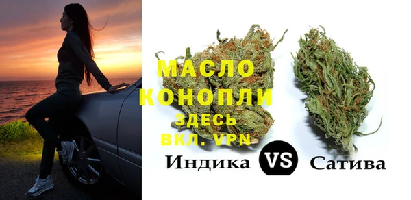прущие грибы Гусиноозёрск