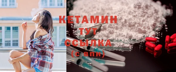 прущие грибы Гусиноозёрск