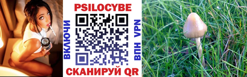 Псилоцибиновые грибы MAGIC MUSHROOMS  МЕГА ссылки  Мезень 