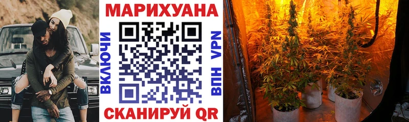 darknet какой сайт  Мезень  Каннабис THC 21% 